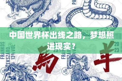中国世界杯出线之路，梦想照进现实？