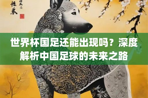 世界杯国足还能出现吗？深度解析中国足球的未来之路