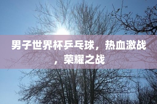 男子世界杯乒乓球，热血激战，荣耀之战