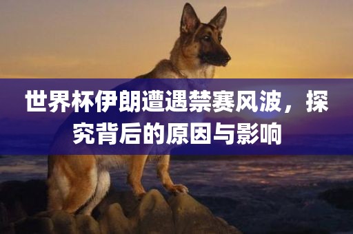 世界杯伊朗遭遇禁赛风波，探究背后的原因与影响