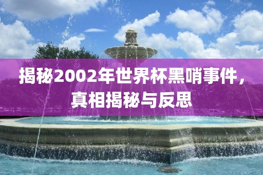 揭秘2002年世界杯黑哨事件，真相揭秘与反思