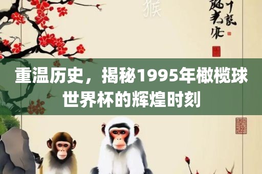 重温历史，揭秘1995年橄榄球世界杯的辉煌时刻