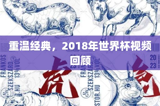 重温经典，2018年世界杯视频回顾