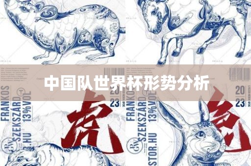中国队世界杯形势分析