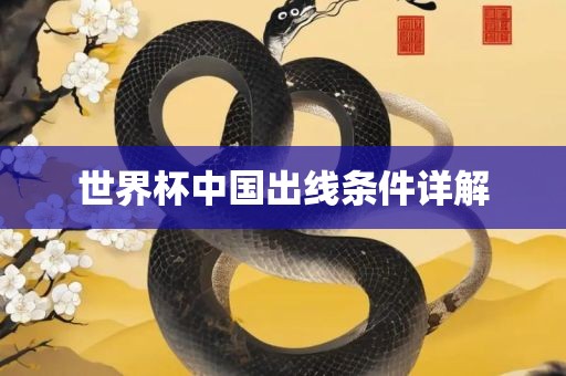 世界杯中国出线条件详解
