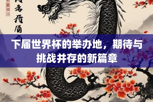 下届世界杯的举办地，期待与挑战并存的新篇章