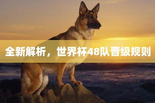 全新解析，世界杯48队晋级规则