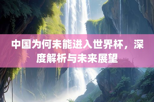 中国为何未能进入世界杯，深度解析与未来展望