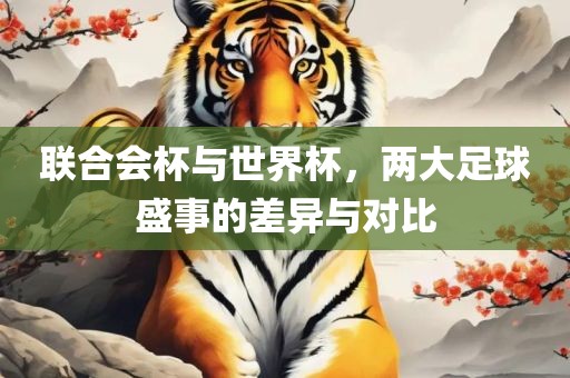 联合会杯与世界杯，两大足球盛事的差异与对比