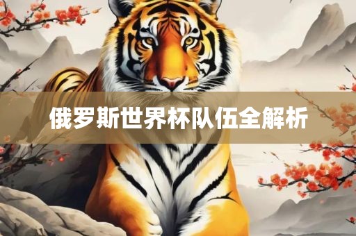俄罗斯世界杯队伍全解析