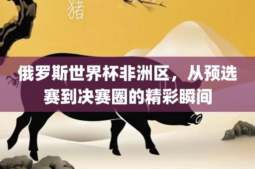 俄罗斯世界杯非洲区，从预选赛到决赛圈的精彩瞬间