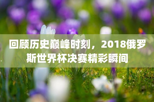 回顾历史巅峰时刻，2018俄罗斯世界杯决赛精彩瞬间