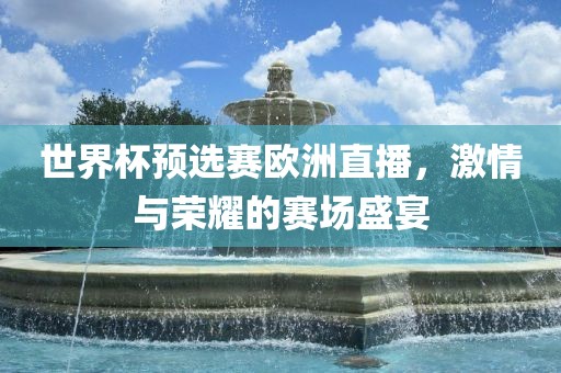 世界杯预选赛欧洲直播，激情与荣耀的赛场盛宴