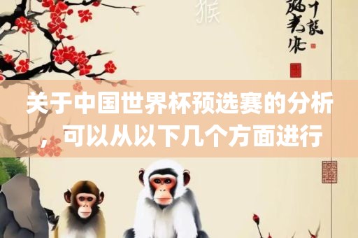 关于中国世界杯预选赛的分析，可以从以下几个方面进行