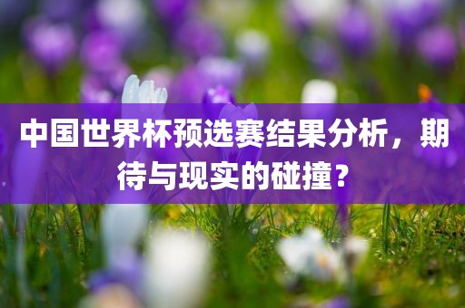 中国世界杯预选赛结果分析，期待与现实的碰撞？