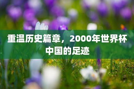 重温历史篇章，2000年世界杯中国的足迹