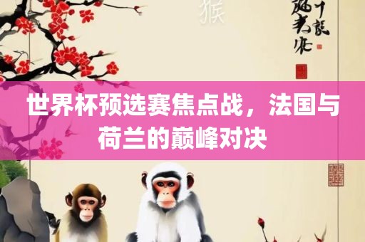 世界杯预选赛焦点战，法国与荷兰的巅峰对决