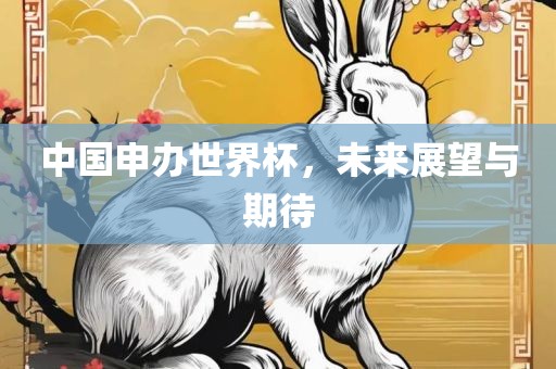 中国申办世界杯，未来展望与期待