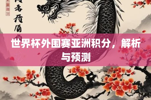 世界杯外围赛亚洲积分，解析与预测