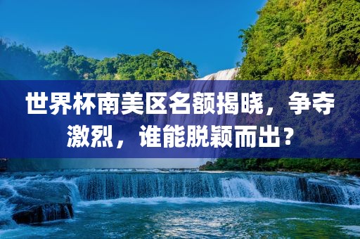 世界杯南美区名额揭晓，争夺激烈，谁能脱颖而出？