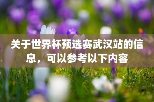 关于世界杯预选赛武汉站的信息，可以参考以下内容