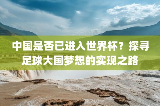 中国是否已进入世界杯？探寻足球大国梦想的实现之路