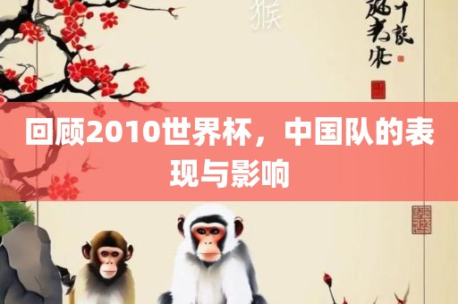回顾2010世界杯，中国队的表现与影响