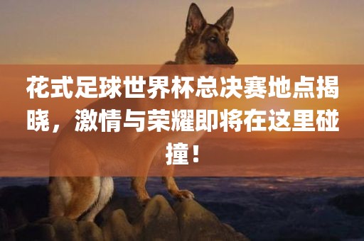 花式足球世界杯总决赛地点揭晓，激情与荣耀即将在这里碰撞！