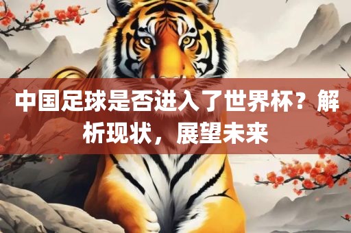 中国足球是否进入了世界杯？解析现状，展望未来