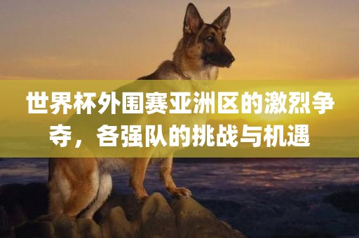 世界杯外围赛亚洲区的激烈争夺，各强队的挑战与机遇