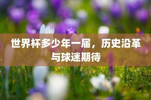 世界杯多少年一届，历史沿革与球迷期待
