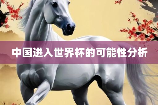 中国进入世界杯的可能性分析