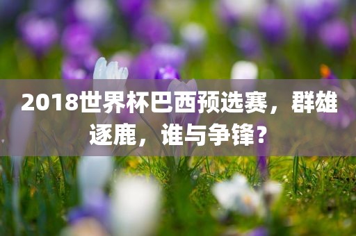 2018世界杯巴西预选赛，群雄逐鹿，谁与争锋？