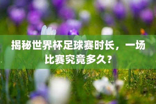 揭秘世界杯足球赛时长，一场比赛究竟多久？
