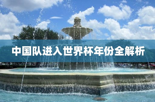 中国队进入世界杯年份全解析