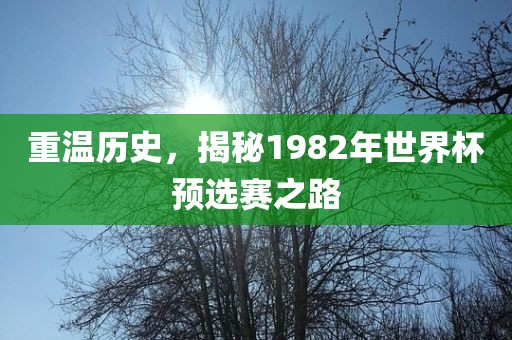 重温历史，揭秘1982年世界杯预选赛之路