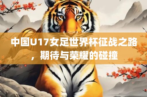 中国U17女足世界杯征战之路，期待与荣耀的碰撞