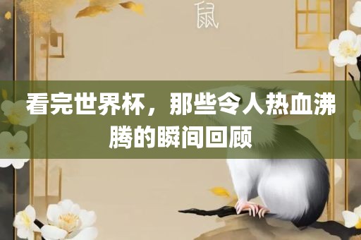 看完世界杯，那些令人热血沸腾的瞬间回顾