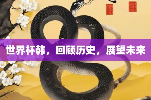 世界杯韩，回顾历史，展望未来