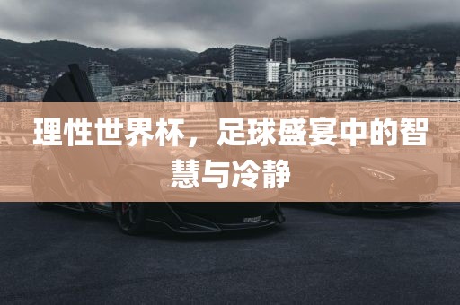 理性世界杯，足球盛宴中的智慧与冷静