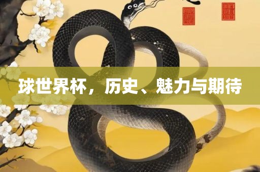 球世界杯，历史、魅力与期待
