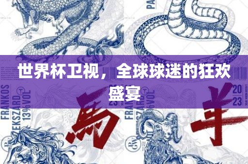 世界杯卫视，全球球迷的狂欢盛宴