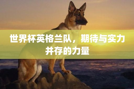 世界杯英格兰队，期待与实力并存的力量