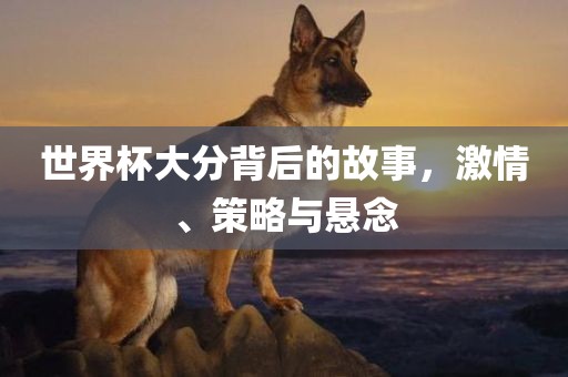 世界杯大分背后的故事，激情、策略与悬念