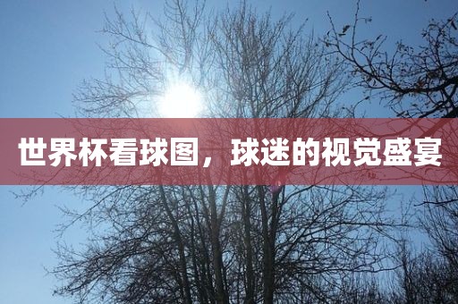 世界杯看球图，球迷的视觉盛宴