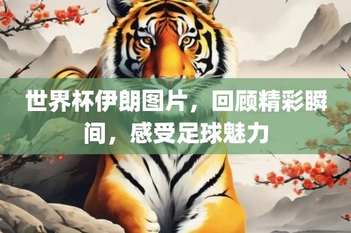 世界杯伊朗图片，回顾精彩瞬间，感受足球魅力