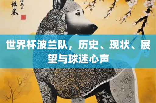 世界杯波兰队，历史、现状、展望与球迷心声