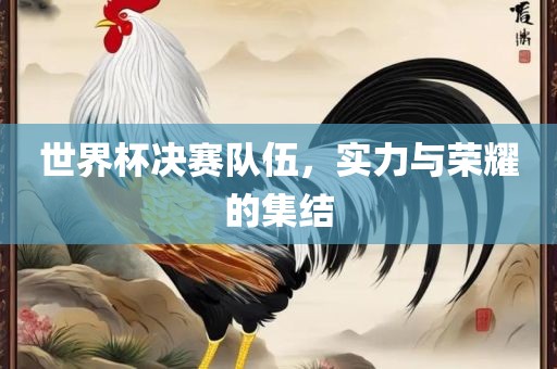 世界杯决赛队伍，实力与荣耀的集结