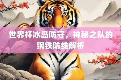 世界杯冰岛防守，神秘之队的钢铁防线解析