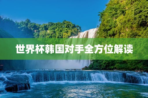 世界杯韩国对手全方位解读
